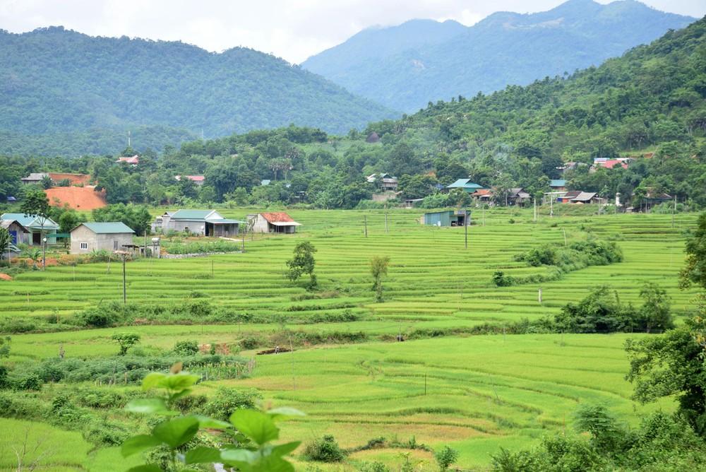 Phát triển nông nghiệp Nghệ An theo hướng sinh thái, ứng dụng công nghệ cao ảnh 1