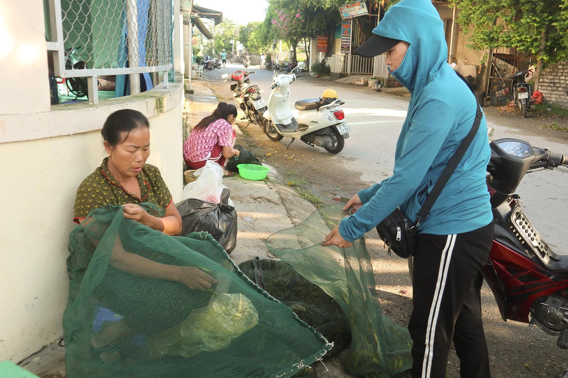 Khu chợ chỉ bán cào cào ở Nghệ An, giá nửa triệu mỗi kg vẫn ‘đắt hàng’ ảnh 3
