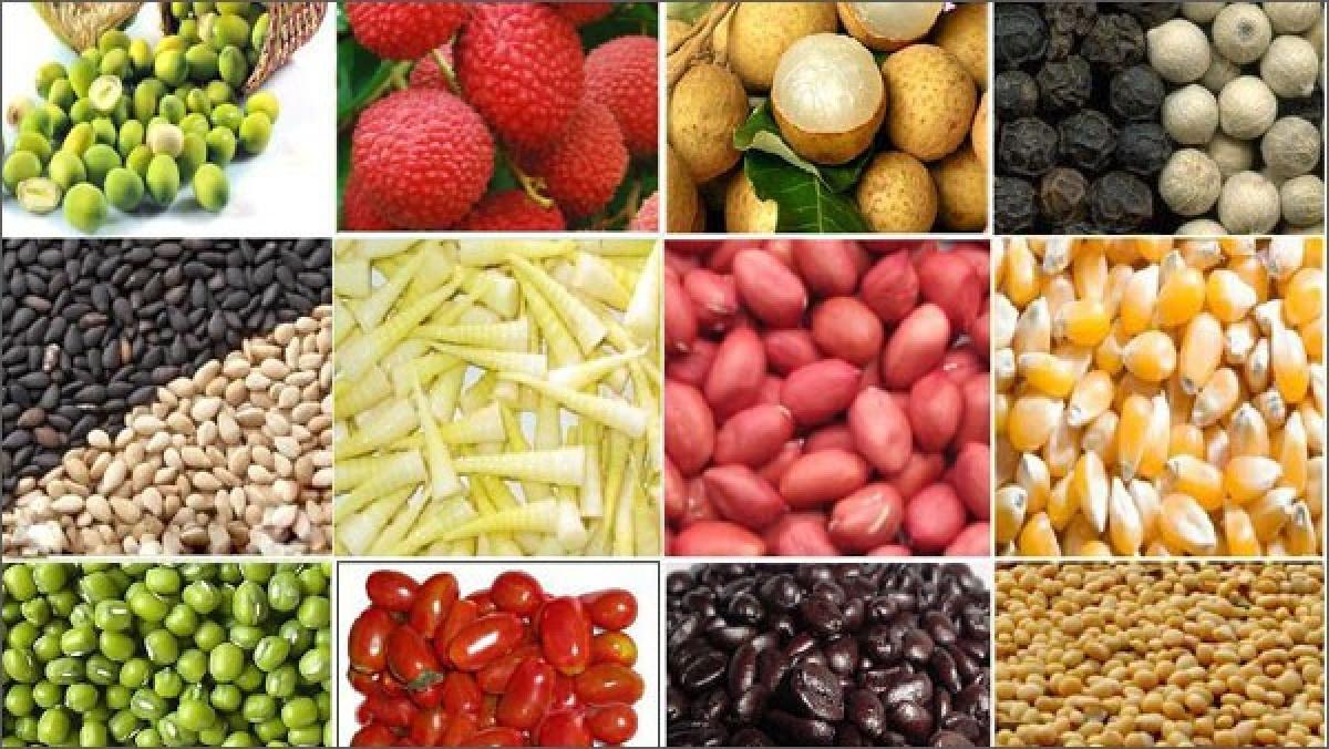Thị trường hàng hoá hôm nay 15/7: Hàng loạt mặt hàng lao dốc mạnh