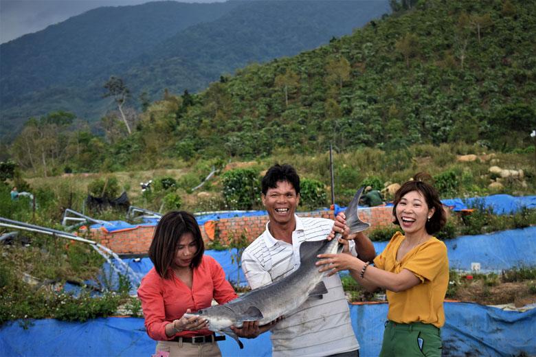 Nuôi cá tầm theo mô hình chuỗi liên kết ở xã Rô Men, huyện Đam Rông