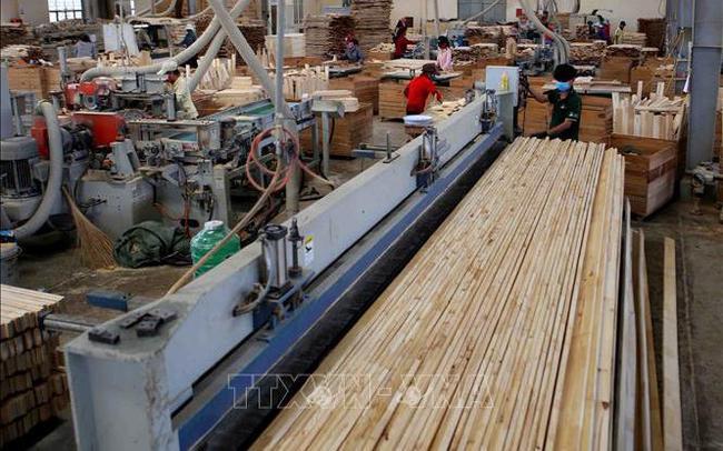 Thông tin việc Hoa Kỳ điều tra lẩn tránh phòng vệ thương mại với gỗ dán
