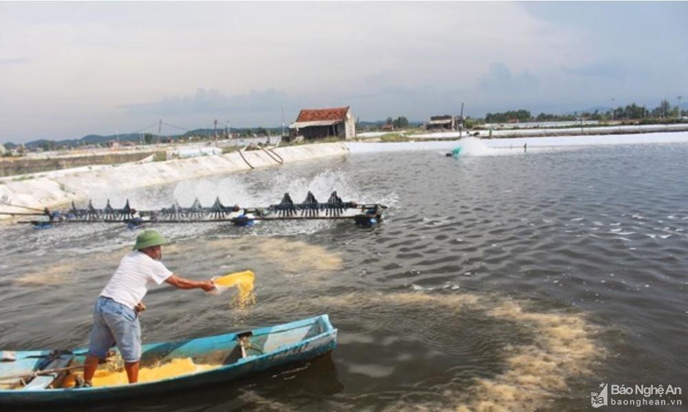 Phát triển các mô hình ứng dụng chuyển đổi số trong nuôi trồng thủy sản ảnh 2