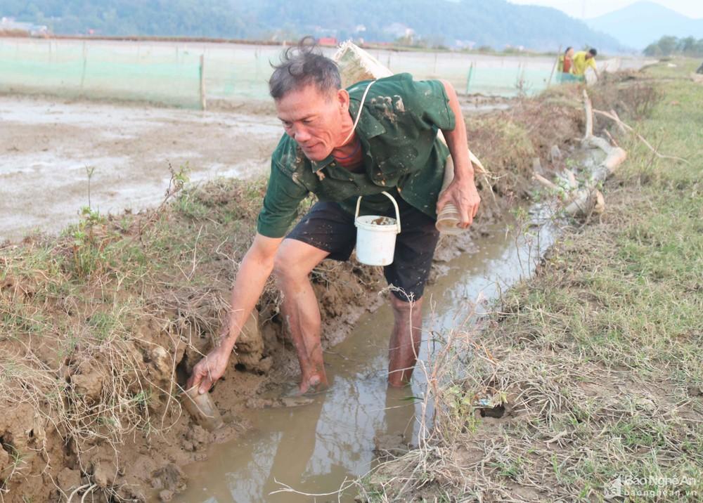 Độc đáo cách săn cáy bằng cốc nhựa của nông dân Nghệ An ảnh 2