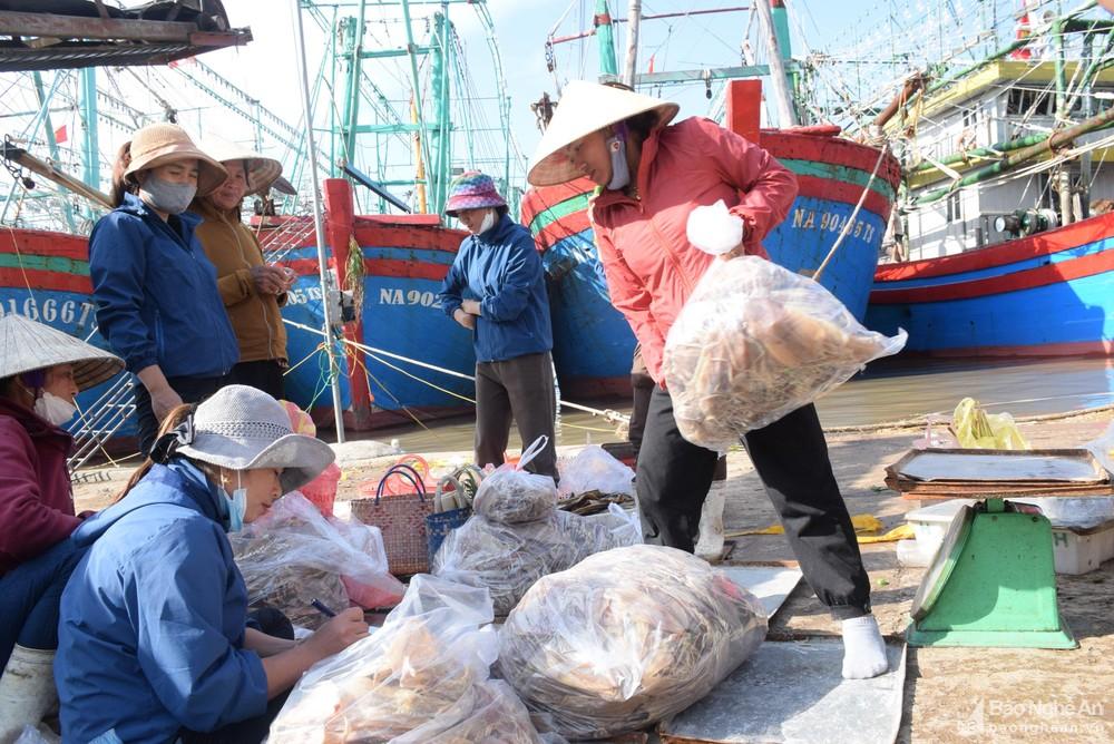 Thương lái gom hàng trữ Tết, nhiều loại hải sản tăng giá ảnh 1