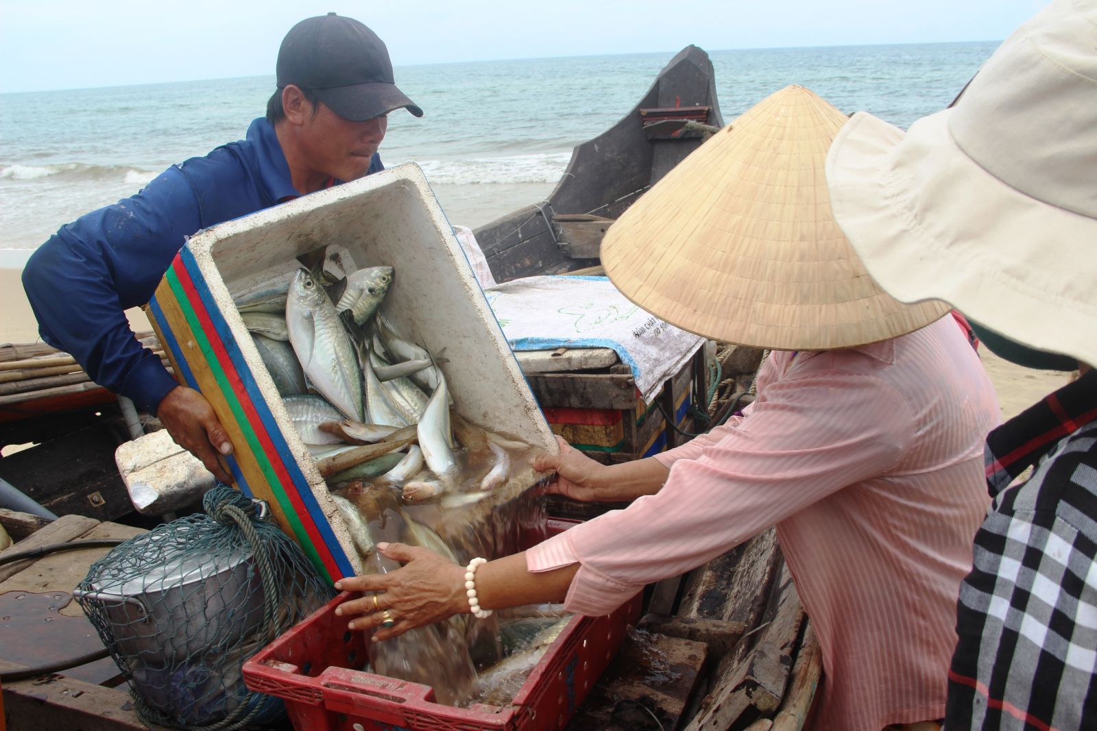 Ngư dân trúng đậm khai thác gần bờ