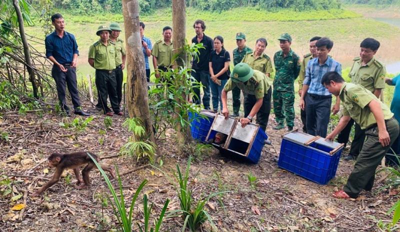 Vườn Quốc gia Vũ Quang tái thả động vật hoang dã vào môi trường tự nhiên