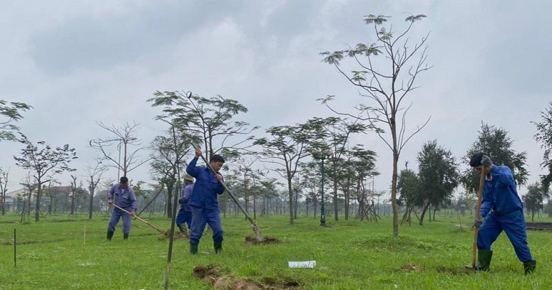 Phong trào trồng cây xanh ở TP Hà Tĩnh góp phần tạo không gian xanh, thích ứng với biến đổi khí hậu