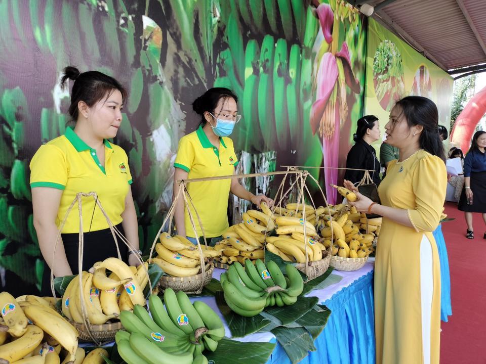 Tiềm năng sản xuất chuối tại các tỉnh phía Nam rất lớn, trong đó Đồng Nai và Long An đang dẫn đầu thị trường xuất khẩu chuối sang Trung Quốc.