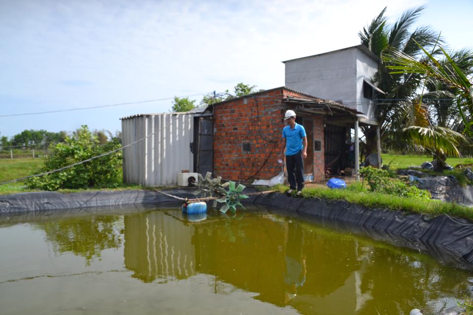 Dịch bệnh bủa vây, người dân Nghĩa Hòa dù đã nhập cá về nhưng chỉ đành thả nuôi ở ao ương dưỡng, chưa dám thả ra hồ.