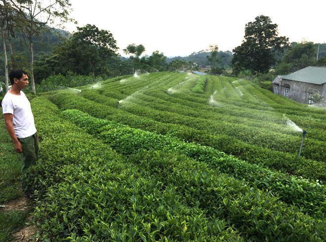 Xây dựng vườn mẫu, nâng tầm nông thôn mới