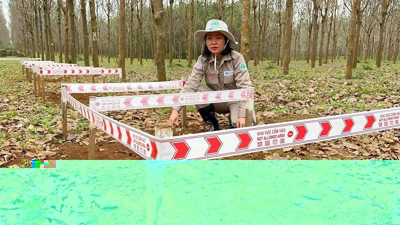 Nguyễn Thị Diệu Linh đang hướng dẫn xử lý những quả đạn pháo còn sót lại sau chiến tranh.