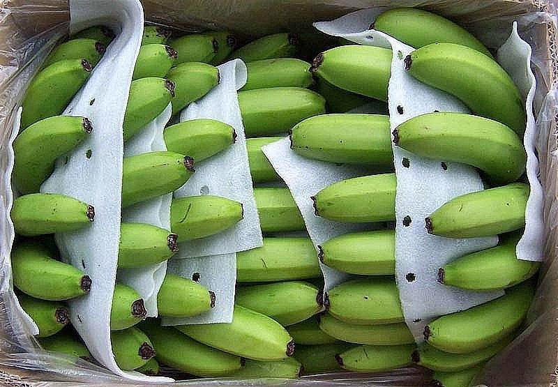  Mặt hàng rau quả xuất khẩu tăng trưởng 12,4% trong 2 tháng đầu năm 2023 so với cùng kỳ. Ảnh minh họa