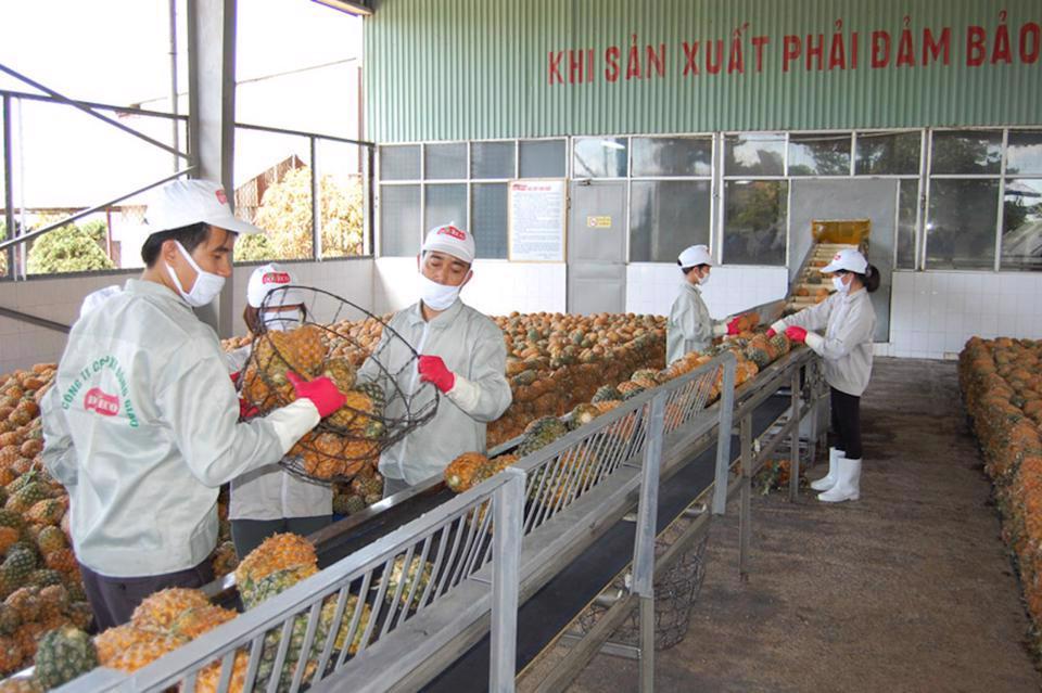Trình tự, thời gian kiểm tra chuyên ngành kéo dài ảnh hưởng đến chất lượng hàng hóa nông sản. Ảnh minh họa