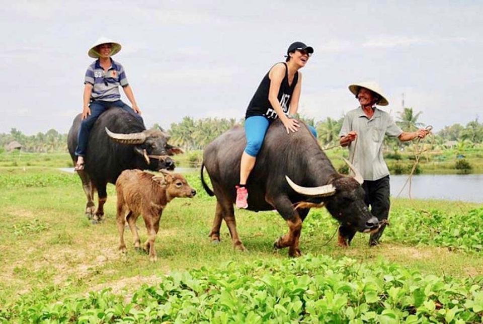 Cả nước hiện có khoảng 500 mô hình du lịch nông nghiệp, nông thôn.