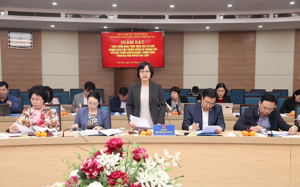 Trưởng Ban Kinh tế-Ngân sách HĐND TP Hồ Vân Nga phát biểu tại buổi làm việc