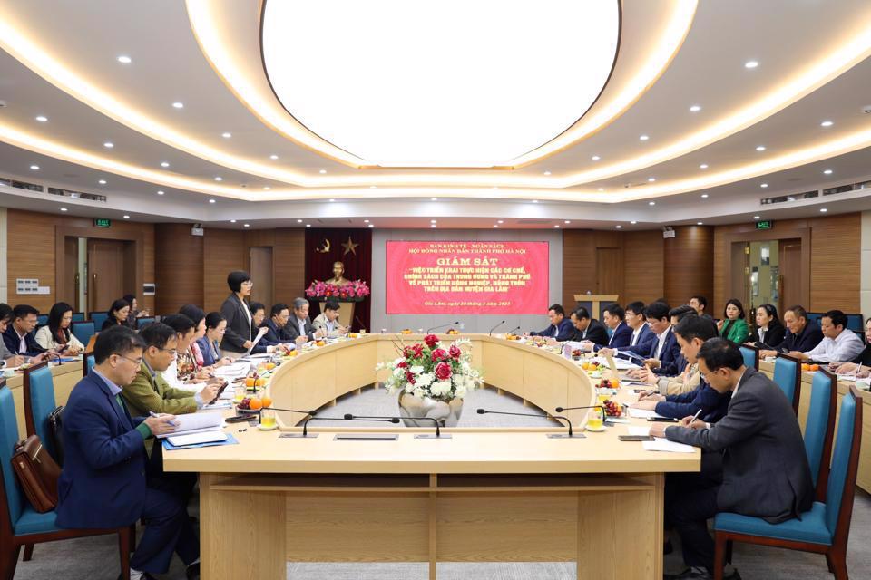 Quang cảnh cuộc làm việc