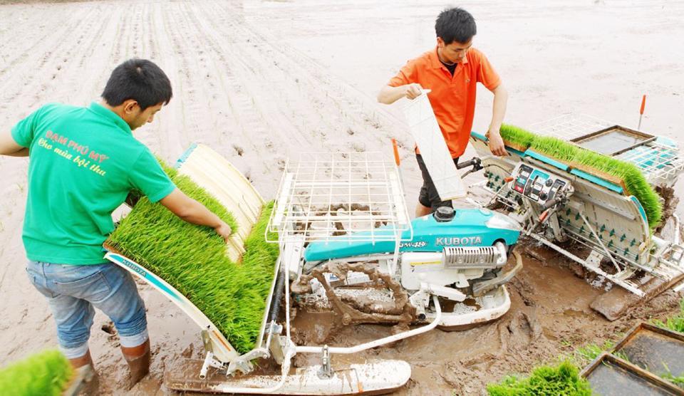 Mạ khay, cấy máy tại huyện Mỹ Đức. Ảnh: Ngọc Ánh