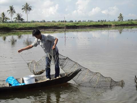 Tôm được nuôi quản canh, thâm canh. Nhưng  tôm khô ngon và đắt nhất là tôm đất được đánh bắt từ môi trường tự nhiên, loài tôm này chưa thể nuôi hoặc gây giống.