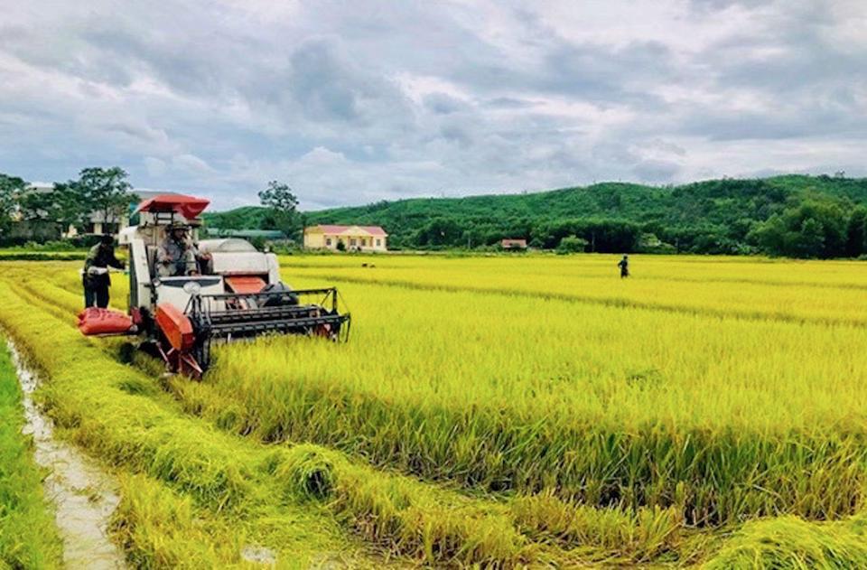 Hội nghị toàn cầu lần thứ 4 sẽ góp phần giải quyết 4 nhóm vấn đề lương thực, thực phẩm cấp bách hiện nay. 