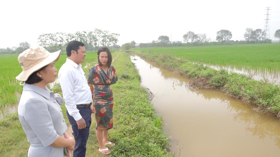Liên kết giữa chính quyền - người dân và doanh nghiệp trong tập trung ruộng đất được đánh giá là một  cách làm mới và tương đối bài bản.