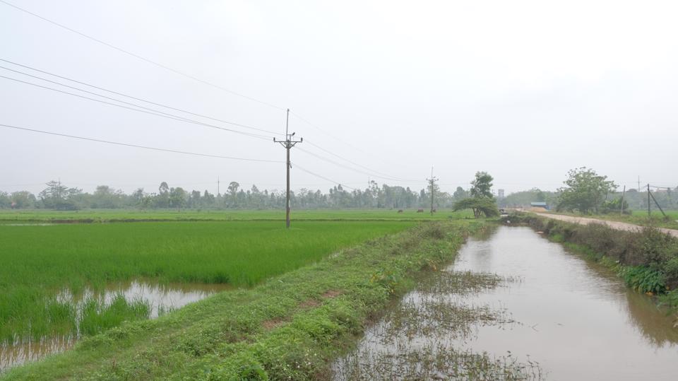 Hệ thống kênh mương được cải tạo phục vụ canh tác lúa hữu cơ tại xã Quảng Bị.