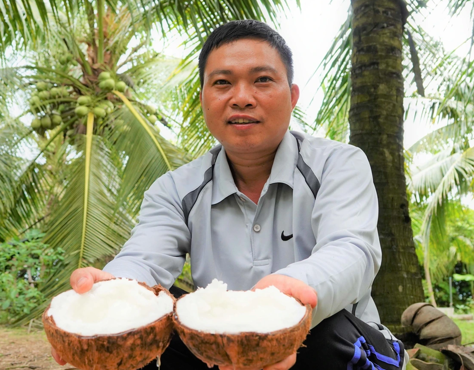 Anh Đặng Minh Bé - một nông dân thành công với việc trồng dừa sáp cấy phôi, đem lại thu nhập cực cao. Ảnh Ngọc Linh