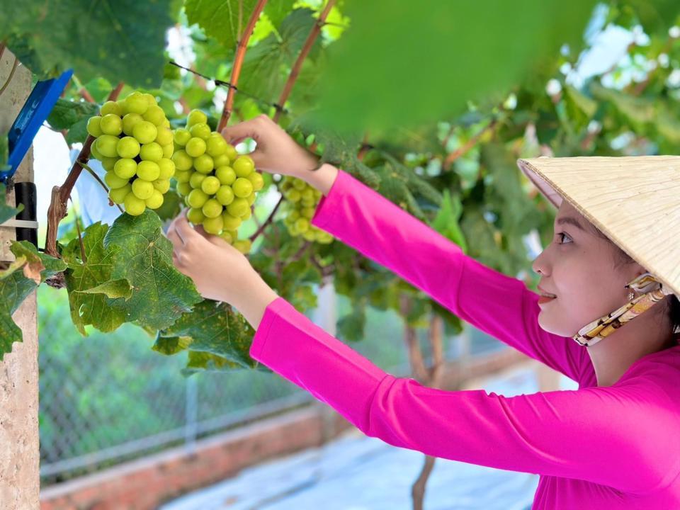 Ông Bá Duy dự tính thời gian tới phát triển giống, tự lai tạo giống ghép và bán cây trồng cho nông dân địa phương với giá thấp.