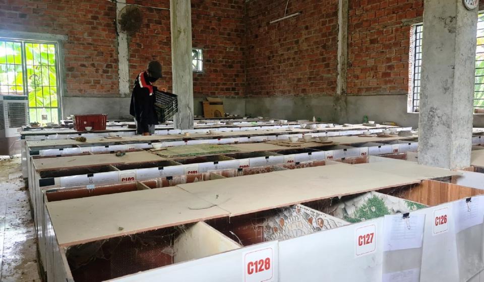 Chuồng trại nuôi dúi của anh Việt được khép kín, kiên cố.