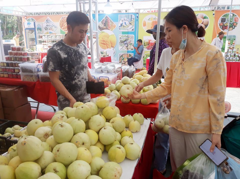 Người tiêu dùng mua hàng khuyến mại, giảm giá tại sự kiện “Ngày hội khuyến mại hàng tiêu dùng và nông sản”. Ảnh: Hoài Nam