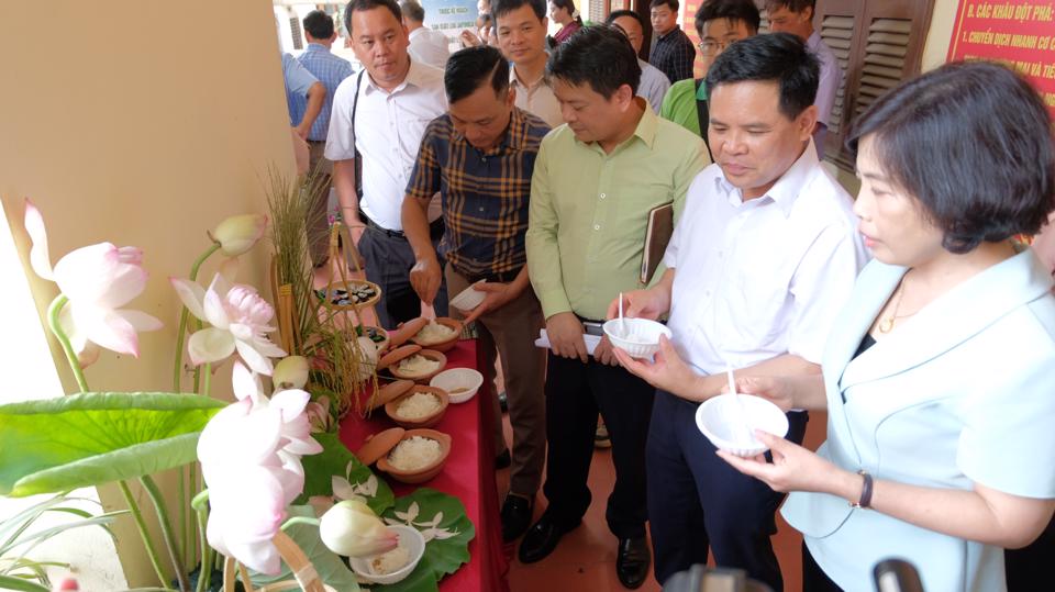 Đại diện Trung tâm Phát triển nông nghiệp Hà Nội và huyện Phúc Thọ đánh giá chất lượng gạo J02 và TBR225.