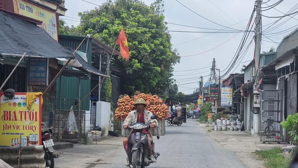 Loại vải u trứng chín sớm được người dân bán từ đầu tháng 5. Ảnh Vĩnh Quân