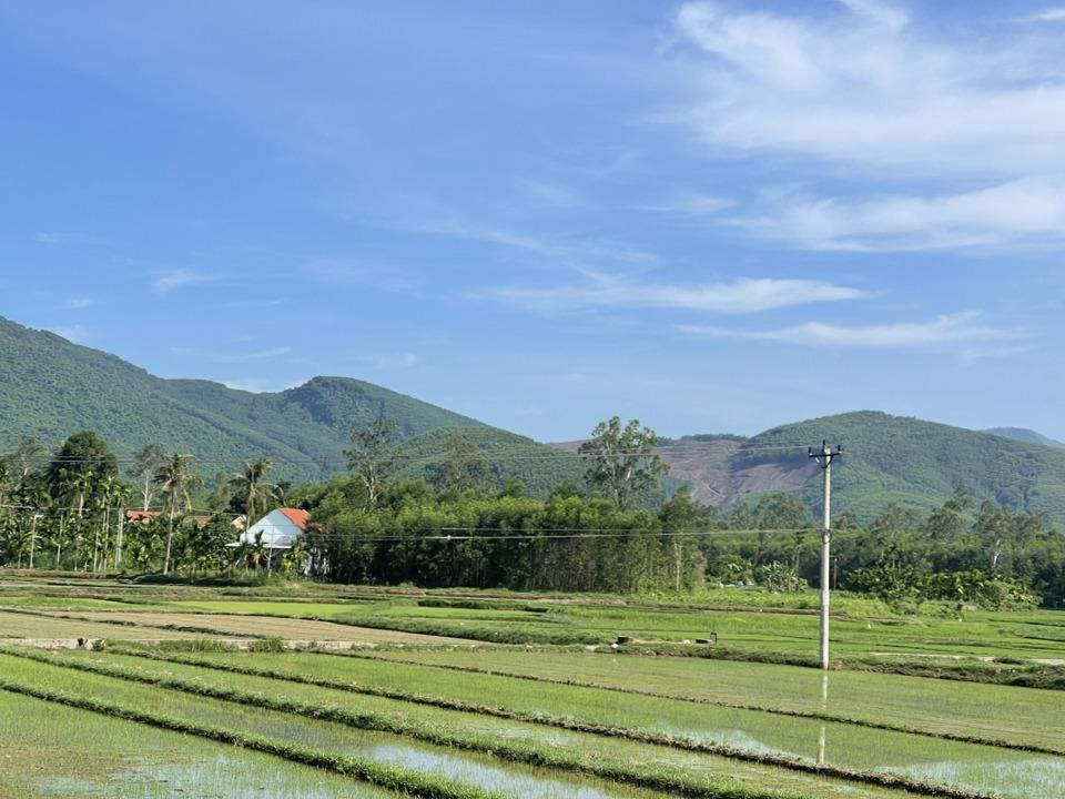 Hiện Quảng Ngãi chưa xuất hiện tình trạng hạn hán, thiếu nước đối với sản xuất nông nghiệp.