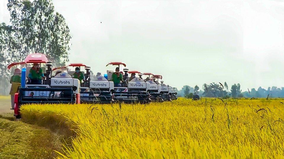 Hậu Giang ấn định thời gian tổ chức Festival lúa gạo lần 6 cuối năm. Ảnh Hữu Tuấn