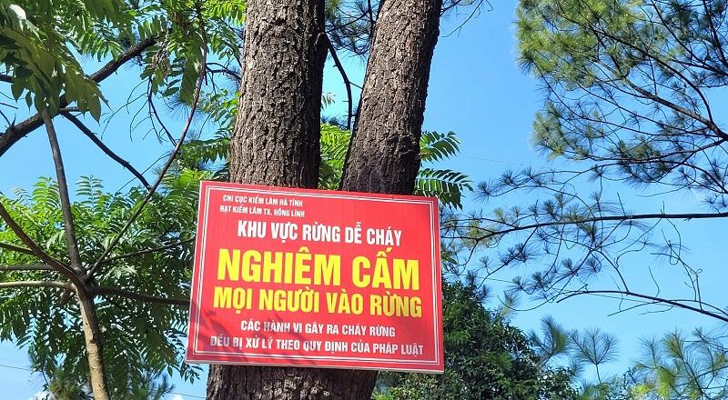 Biển cảnh báo nghiêm cấm mọi người vào khu vực rừng trọng điểm dễ cháy