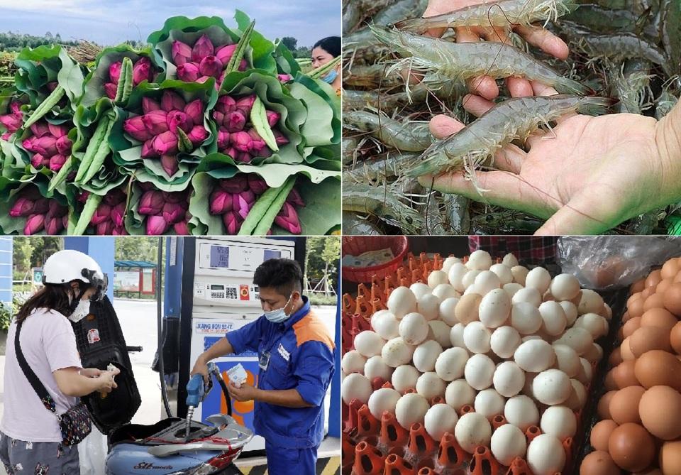 Giá hoa sen, quýt Úc, trứng gia cầm, tôm... đồng loạt giảm mạnh. Ảnh minh họa