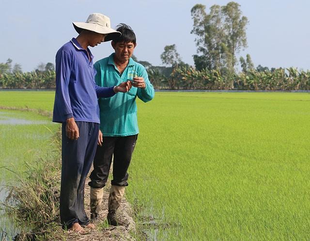 Nông dân xử lý rơm rạ sau thu hoạch, góp phần nâng cao hiệu quả sản xuất -  Hiệp hội Lương thực Việt Nam