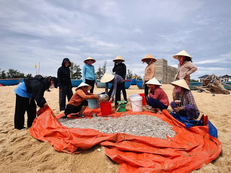 Phụ nữ làng chài lựa chọn, phân loại cá