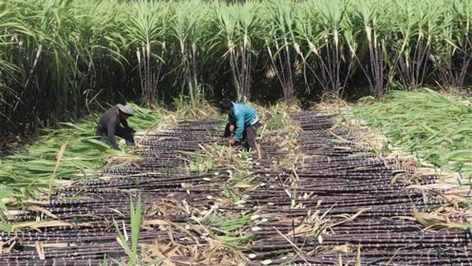 Các biện pháp phòng vệ thương mại đã góp phần bảo vệ công ăn việc làm của hàng trăm nghìn người lao động thuộc nhiều lĩnh vực sản xuất, tăng nguồn thu cho ngân sách nhà nước