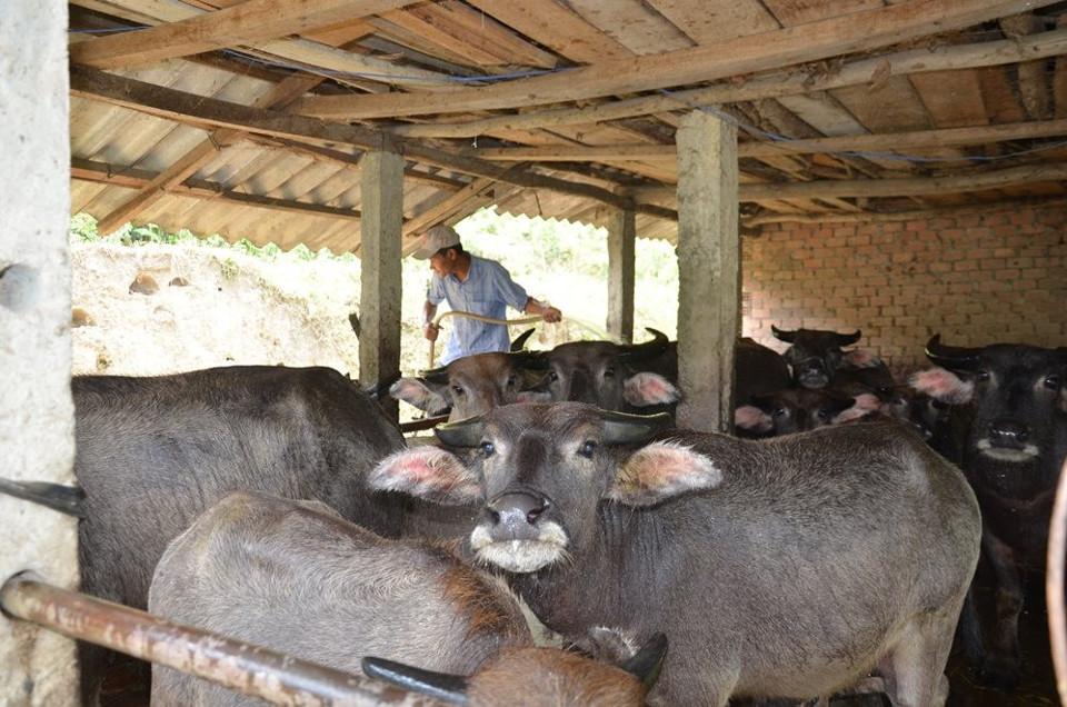 Chương trình phát triển kinh tế- xã hội vùng đồng bào dân tộc thiểu số và miền núi đã giúp nhiều người dân thoát nghèo.