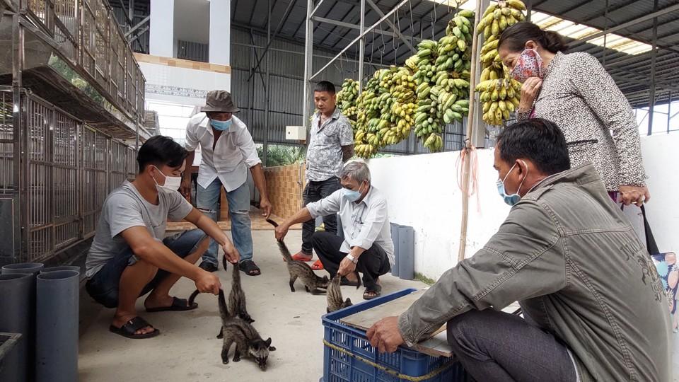 Trước khi trang trại chồn giống nổi tiếng được nhiều người nổi tiếng, anh Thuyết từng là tỷ phú từ rắn mối.