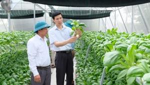 mo-hinh-trong-rau-thuy-canh-cua-anh-hoang-quoc-chien-xa-phu-cuong-huyen-soc-son-cho-hieu-qua-kinh-te-cao-anh-lam-nguyen.jpg (300×170)