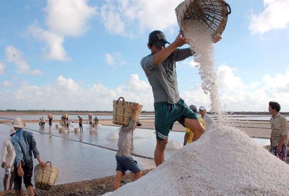 Thu hoạch muối tại tỉnh Bạc Liêu. Ảnh: Nhật Hồ