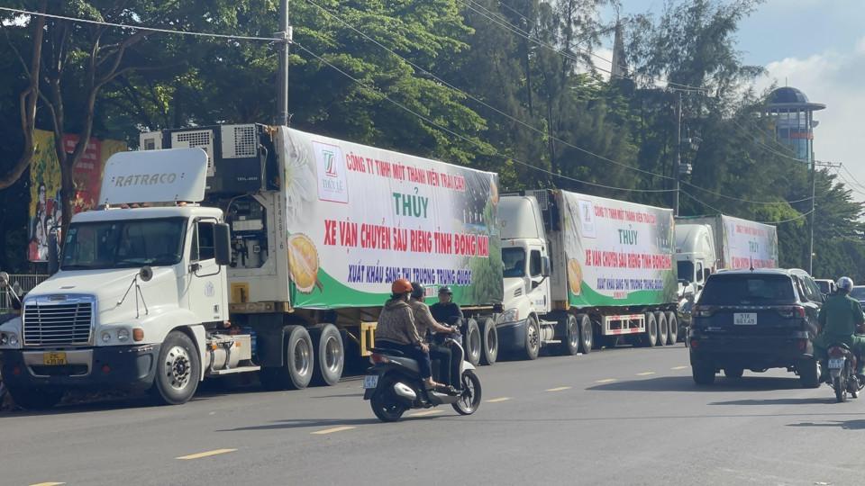 Sầu riêng, một trong những mặt hàng  nông sản của Việt Nam đang được thị trường Trung Quốc đón nhận.