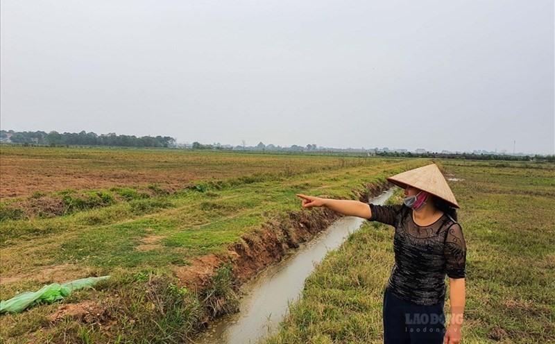 Cách chuyển đất nông nghiệp bỏ hoang thành đất thổ cư - Ảnh 1