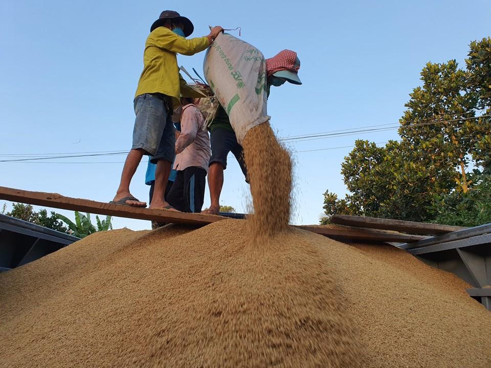 Doanh nghiệp  lúa gạo, thủy sản đề nghị ngân hàng linh hoạt hơn trong cấp hạn mức tín dụng.