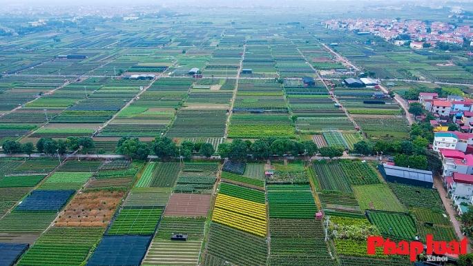 Chưa hình thành vùng sản xuất nông nghiệp công nghệ cao theo đúng tiêu chí - Ảnh 1