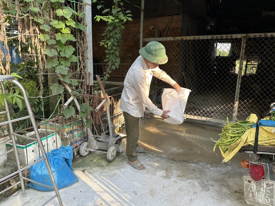 Hộ chăn nuôi rắc vôi quanh chuồng để phòng ngừa dịch.