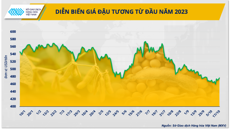 Doanh nghiệp chăn nuôi cần làm gì khi nguồn cung đậu tương từ Mỹ bị thu hẹp?