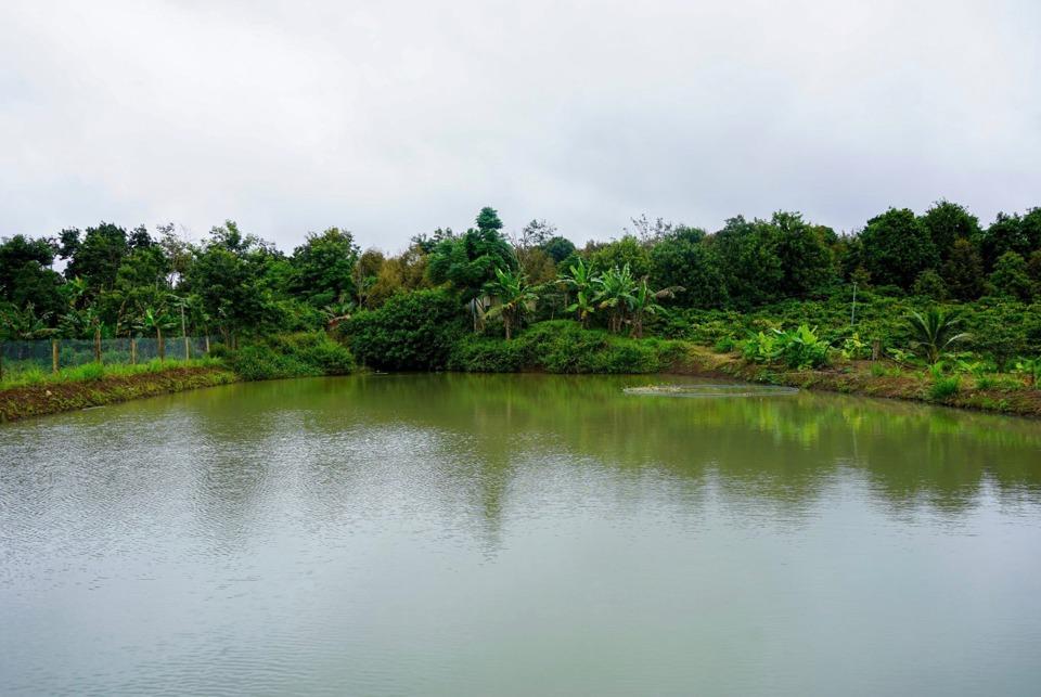 Một ao chống chịu biến đổi khí hậu mới được bàn giao cho hộ dân tỉnh Đắk Lắk.