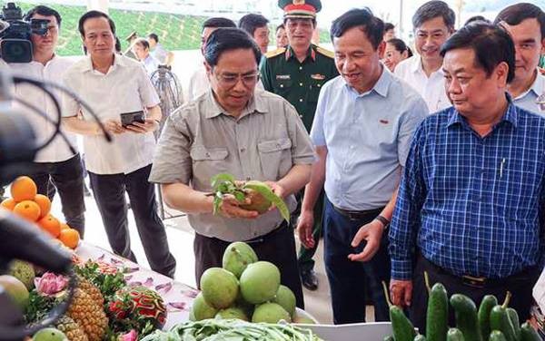 Sơn La đẩy mạnh chế biến sâu, nâng cao giá trị nông sản